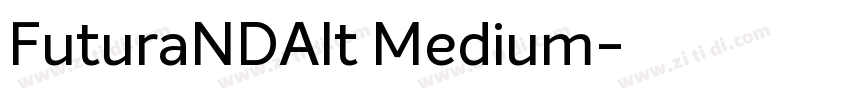 FuturaNDAlt Medium字体转换